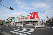 スギ薬局草薙店 318m