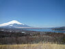 周辺：パノラマ台まで（1200m）