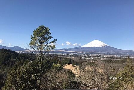バルコニーからの眺望 オーナー様写真提供