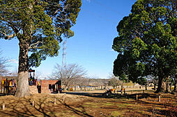 柏公園（1242m）