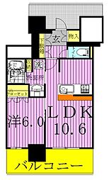 ライオンズタワー柏 5階