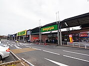 マルヤ野田山崎店（226m）
