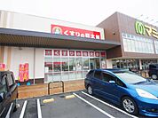くすりの福太郎 柏の葉店（825m）
