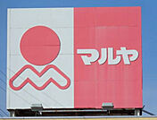 マルヤ野田山崎店（449m）