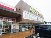 マミーマート 柏の葉店（1603m）