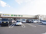 マミーマート 柏根戸店（294m）
