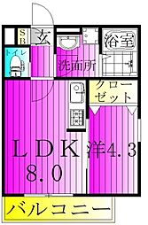 ジーメゾン柏西原 1階1LDKの間取り