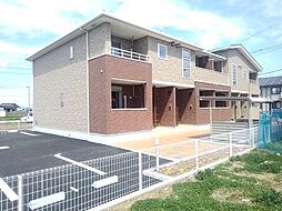 スターライト 204