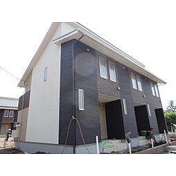 ルピナス（Lupinus）B 103