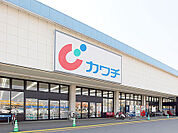 カワチ薬品 小山東店（623m）
