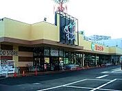 たいらや 本郷店（1139m）