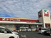 ヨークベニマル小山ゆうえんち店（1260m）