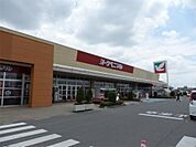 ヨークベニマル結城四ツ京店（777m）