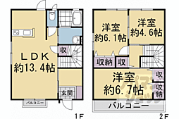 フレンドコスモステラス