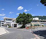 安詳小学校まで500m