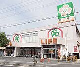 ライフ 向日店まで600m