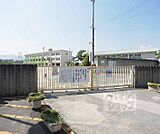 第三向陽小学校まで600m