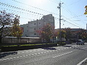中学校「津市立橋南中学校まで449ｍ」