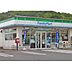 周辺：コンビニ「ファミリーマート津栄町二丁目店まで206ｍ」