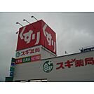 ドラックストア「スギ薬局白塚店まで1325ｍ」