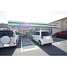 コンビニ「ファミリーマート津城山店まで384ｍ」