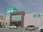 ホームセンター「ニトリ津店まで733ｍ」