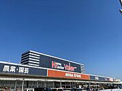 ホームセンター「ホームセンターバローメガストア久まで772ｍ」