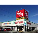 ドラックストア「スギ薬局藤方店まで429ｍ」