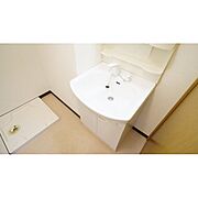 シャンプードレッサー