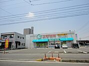 ドラックストア「スギ薬局末永店まで782ｍ」