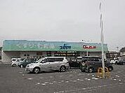 ドラックストア「ドラッグスギヤマ坂部店まで803ｍ」