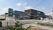 ホームセンター「カインズ四日市店まで1331ｍ」