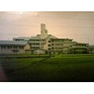 中学校「四日市市立三滝中学校まで1194ｍ」