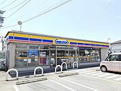ミニストップ野町店まで700m