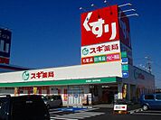ドラックストア「スギ薬局鈴鹿寺家店まで916ｍ」