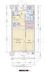 プレサンス十条凛華 5階