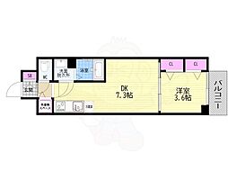 ベラジオレガシー葛野大路八条 5階/-