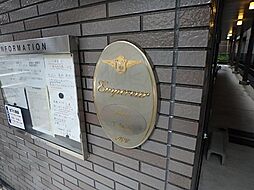 8 / 15