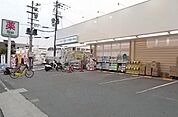 ドラッグひかりまで1200m