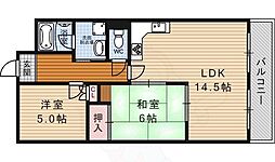 コスモ二条 5階/-