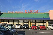 カスミテクノパーク桜店