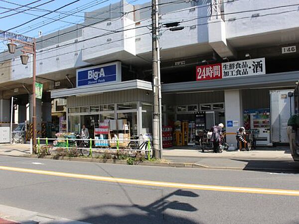 画像27:【スーパー】ビッグ・エー 板橋坂下店まで728ｍ