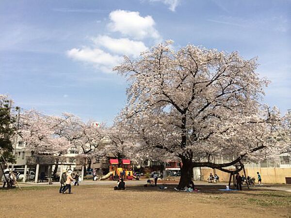 フェニックス池袋弐番館 503｜東京都豊島区上池袋4丁目(賃貸マンション1DK・5階・21.72㎡)の写真 その14