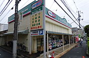 ドラッグセイムス 太田窪店（607m）