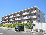 静岡県浜松市中央区西伊場町：物件画像／ルームズ！賃貸　浜松高台店 株式会社ライフデザインクリエイターズ