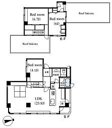 アベニュー等々力 5階3LDKの間取り