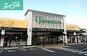 ハピッシュ国府市場店 4414m