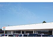 イチコ高田南店