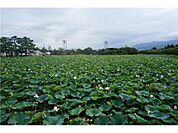 高田公園まで約2.2ｋｍ