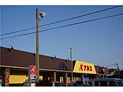 ナルス